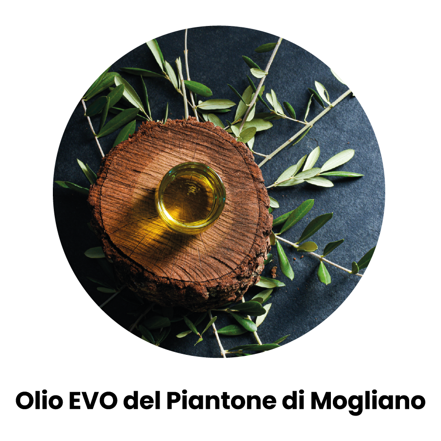 bicchierino di olio posto sopra un pezzo di tronco di un albero tagliato sopra delle foglie di ulivo - scritta "Olio EVO del Piantone di Mogliano"